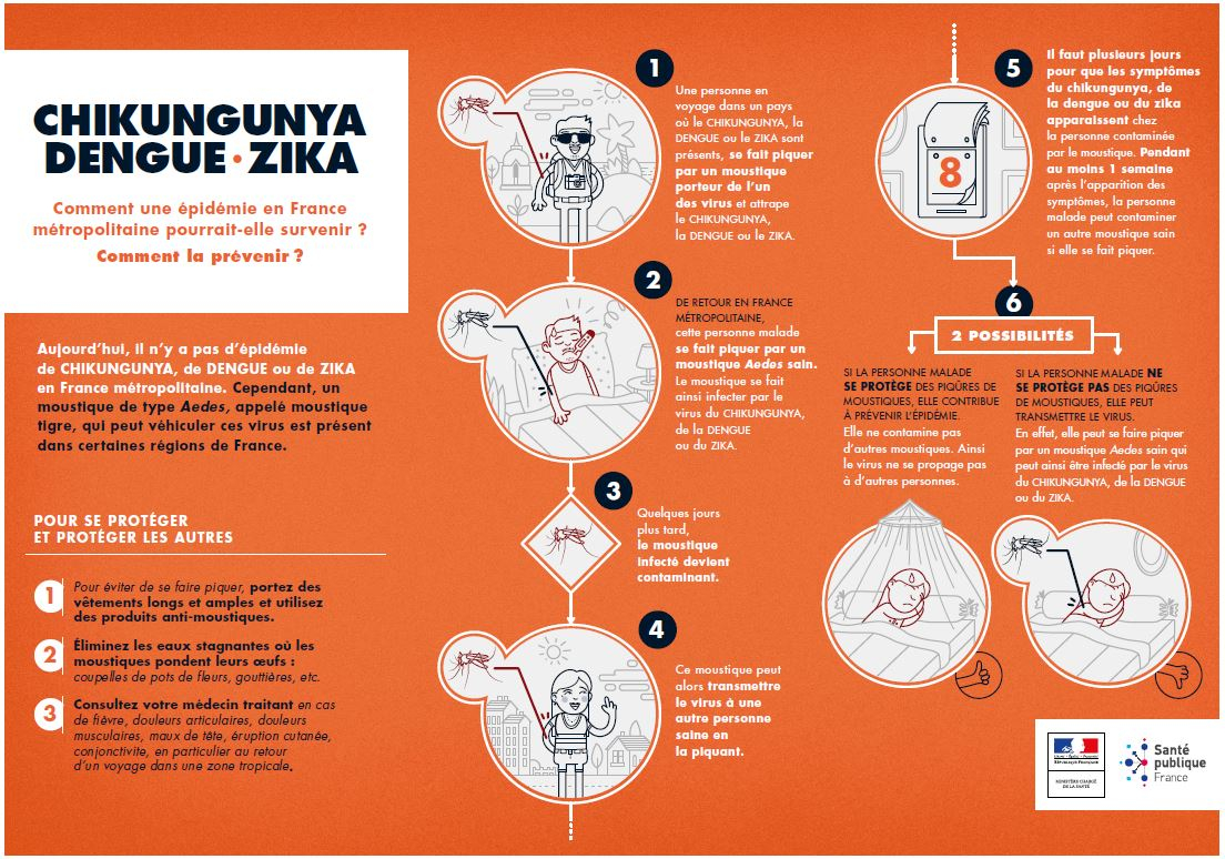 Comment prévenir une épidémie de chikungunya, dengue, zika ?