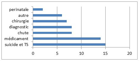 En 2018, 15 EIGS concernaient les suicides et tentatives de suicide. Viennent après les médicaments, les chutes, les diagnostics, la chirurgie, la catégorie "Autres" et périnatalité.