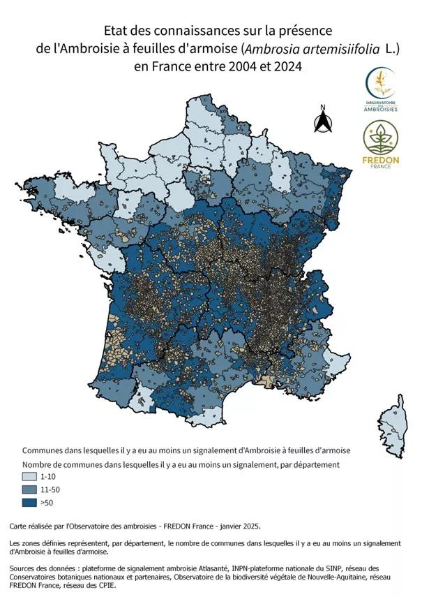 Carte de l'état de la présence de l'ambroisie en france de 2004 à 2024 les régions Bretagne, Pays de la Loire, Normandie, Hauts de France, Iles de France et Grand Ouest sont les moins touchées avec 1 à 50 communes où il y a eu au moins un signalement , 