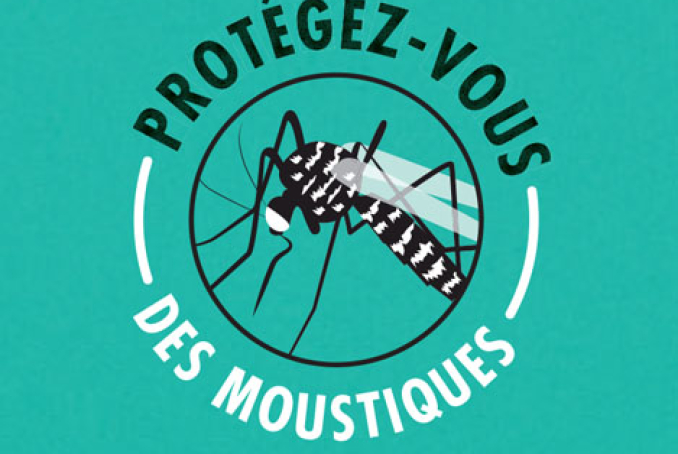 visuel illustratif "protégez-vous des moustiques"