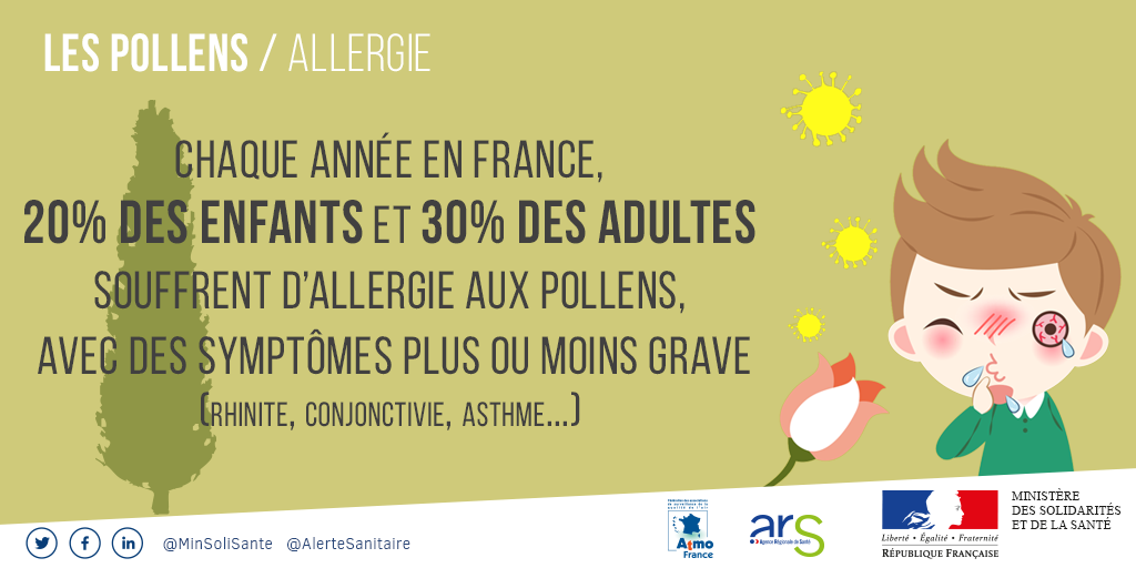 Pollens Infographie 2018
