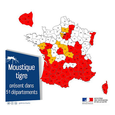Carte nationale de présence du Moustique tigre : présent dans 51 départements