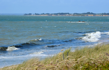 image de la plage en Loire-Atlantique, on y voit la mer et la côte pour illustrer la surveillance estivale des eaux de baignade