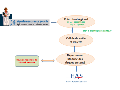 Une fois le signalement fait, il est traité par le point focal régional, par la cellule de veille et d'alerte et le département maîtrise des risques en santé. Un lien est également fait avec la Haute autorité de santé