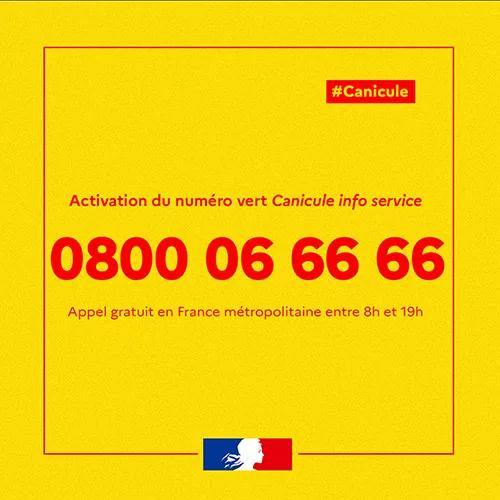 activation du numéro vert canicule info service au 0800 06 66 66. appel gratuit entre 8h et 19h
