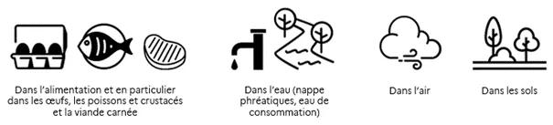 En synthèse : les sources d'exposition aux PFAS sont dans l'alimentation et en particulier dans les oeufs, les poissons et crustacés et la viande carnée. Dans l'eau (nappe phréatique, eau de consommation). Dans l'air. Dans les sols
